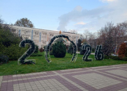 Стало известно, когда в Новороссийске поставят главную городскую елку