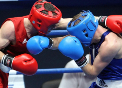 Новороссиец завоевал путевку в Хорватию