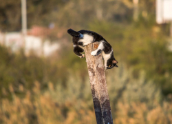 Погода в Новороссийске: штормовое предупреждение - дожди и ветер