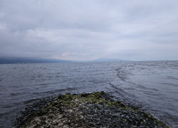 Стрелять в Новороссийске начнут уже скоро