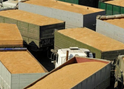 Россельхознадзор устроил экспортерам зерна коллапс в Новороссийске