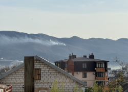 В Новороссийске горит лесной массив 