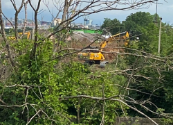 Очередной человейник? Нет, учреждение! Под что вырубают деревья в Цемдолине