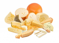 Контрабандный сыр не дошел до новороссийцев