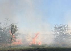 Все в дыму: пожар разбушевался в Суджукской лагуне Новороссийска 