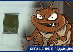 Страшно представить, что творится за дверью: жительница Новороссийска о соседке, устроившей антисанитарию в подъезде