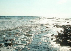 Девушку с ребенком спасли на новороссийском пляже