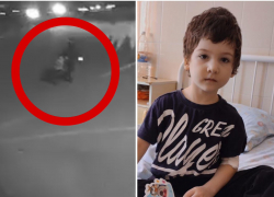 Неизвестный оставил малыша на улице под Новороссийском: видео 