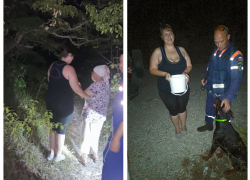 Мама ушла погулять в лес и не вернулась — в Новороссийске доберман помог найти женщину