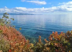 Погода в Новороссийске: хороший день, чтобы гулять и наслаждаться жизнью 