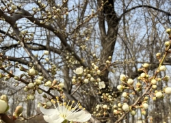 Ждем гостей: в апреле спрос на посуточную аренду квартир в Новороссийске резко вырос