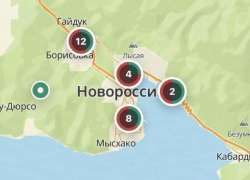 Бензина в Новороссийске нет. Совсем: АЗС заправляют только по топливным картам