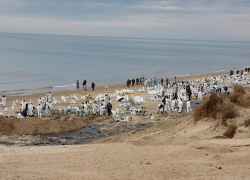 Кто будет платить "по счетам" за разлив мазута в Анапе 