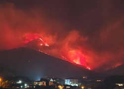 300 гектаров пепла: почему полыхают леса на Черном море