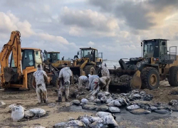Москвичи раскупили билеты в Анапу, несмотря на пляжи в мазуте 