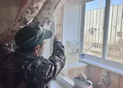 Киев доигрался: преступные действия ВСУ против новороссийцев расследует СК России 