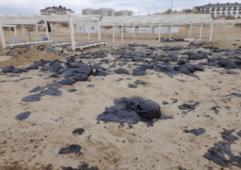 Весь берег в мазуте: как выглядит пляж Анапы после разлива нефти 