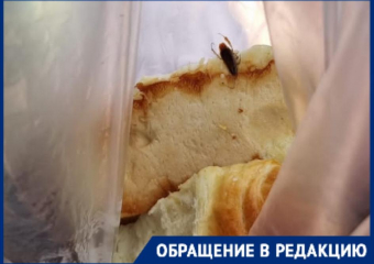 Беременная женщина и 3-летний ребёнок в Новороссийске, чуть не проглотили это 