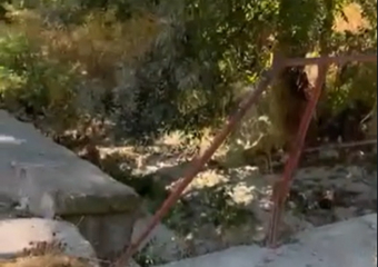 Пейзажи Мысхако удручают жителей Новороссийска 