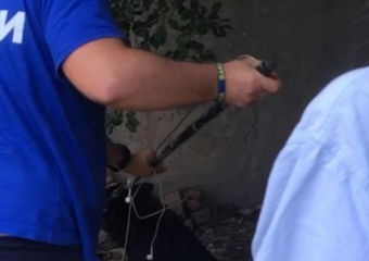 Любопытство до септика довело собаку в Новороссийске