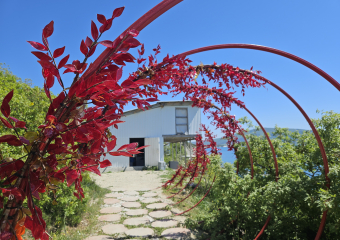 Гороскоп от «Блокнота»: близнецам говорить «Да», а ракам усмирить свою гордость 