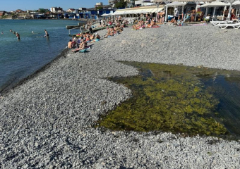 Суджукской лагуной займутся всерьез: Минприроды заключило контракт на разработку проектной документации по расчистке