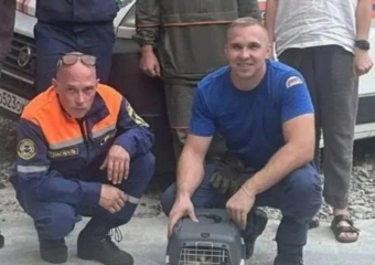 Два дня на дереве: в Новороссийске спасли котенка с высоты 15 метров