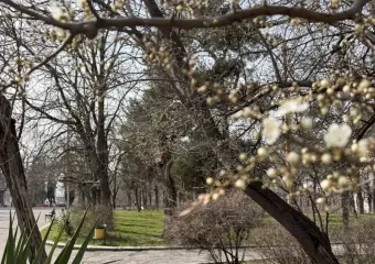 На утреннюю прогулку захватите зонтик