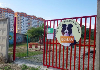 Скоро в Новороссийске можно будет выгуливать собак официально