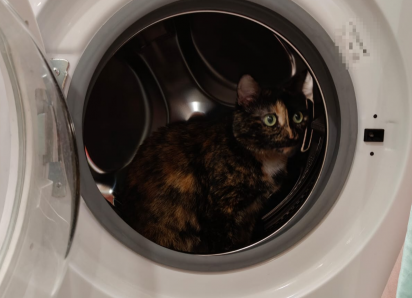 Атака беспилотников в Новороссийске: сигнал тревоги отменен, итоги жуткой ночи