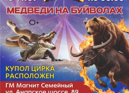 Фееричное шоу «МЕДВЕДИ НА БУЙВОЛАХ» в Новороссийске!