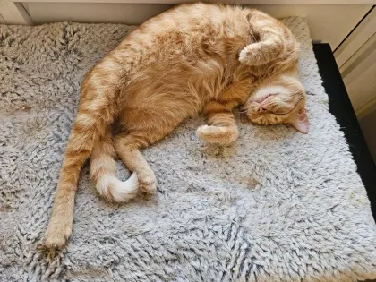 Гороскоп на 26 октября: кто-то из знаков точно проваляется на диване целый день