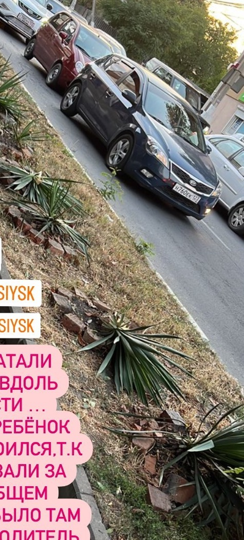 В Новороссийске фура переехала любимые растения ребенка