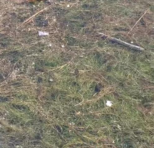 Суджукская лагуна утопает в мусоре: когда наведут порядок в ООПТ