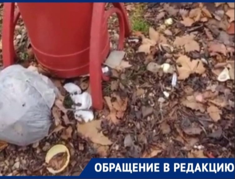 Шприцы и градусники: что ещё можно найти на детской площадке в Новороссийске