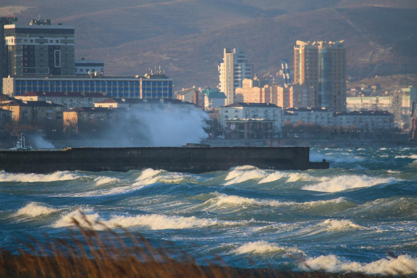 Пятница в Новороссийске будет солнечная, но ветреная 