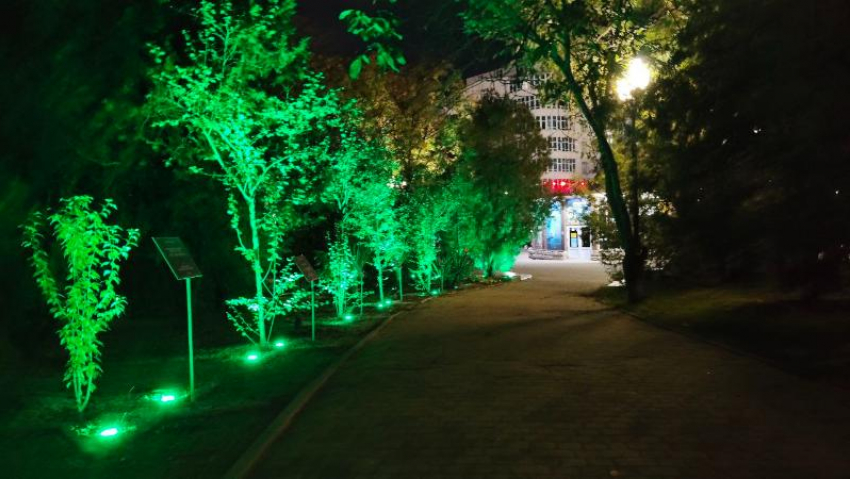 Дежурный по городу: что произошло в Новороссийске за сутки 28 октября 