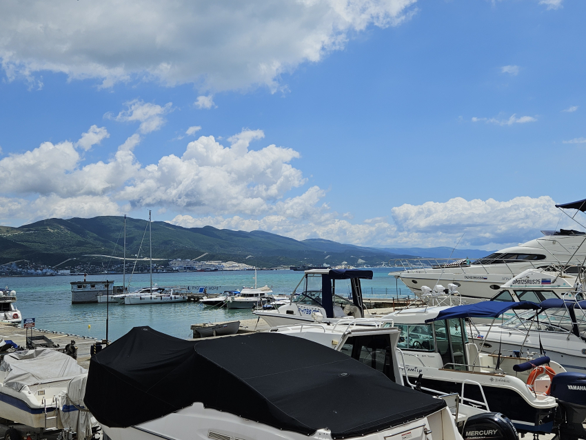 Между Новороссийском и Гоа появится морское сообщение