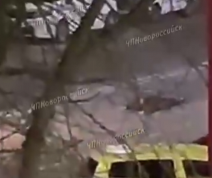 Жуткое ДТП в Новороссийске: пешеход лег на дорогу и его переехал автомобиль