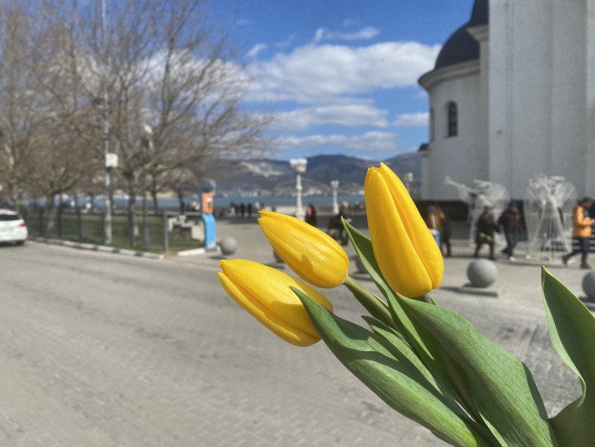 Угрозы нет: неспокойной ночь была не только в Новороссийске