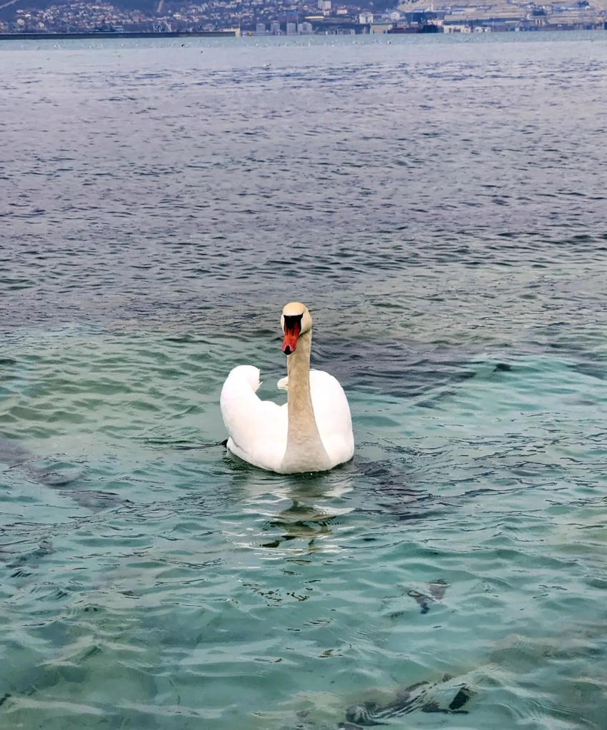  Интуиция - ваше все: звезды подскажут, как быть всем знакам зодиака
