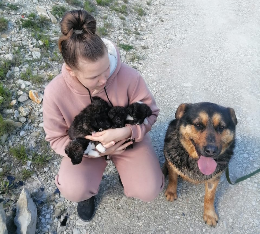 Живодер в Новороссийске оставил щенков умирать от голода в завязанном мешке
