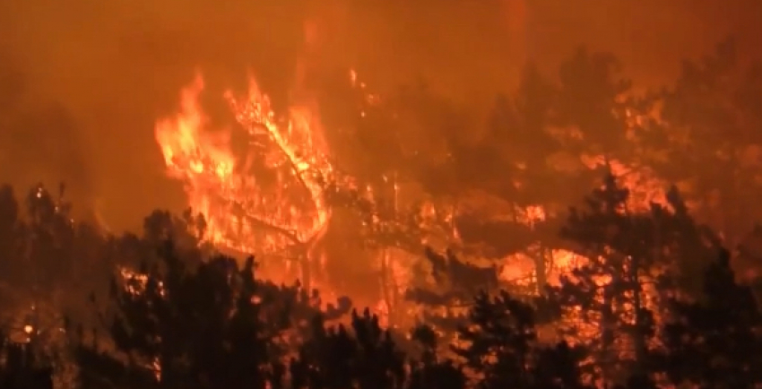 Огромный пожар охватил леса Новороссийска 