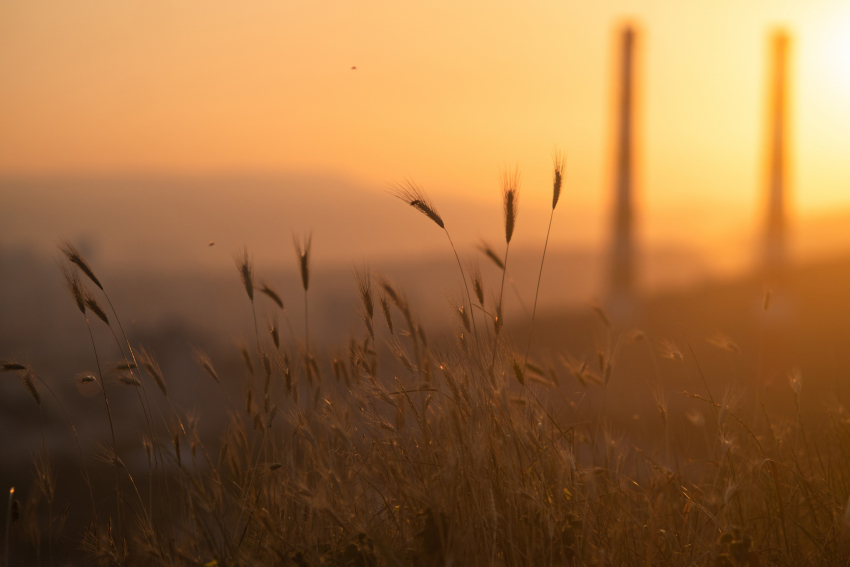 Погода в Новороссийске: солнышко выжигает