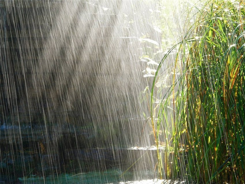 Феи в свой день наколдовали дождь в Новороссийске