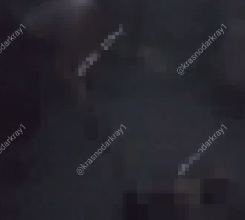 18+ Житель станицы жестоко убил пса и отправил видео жене