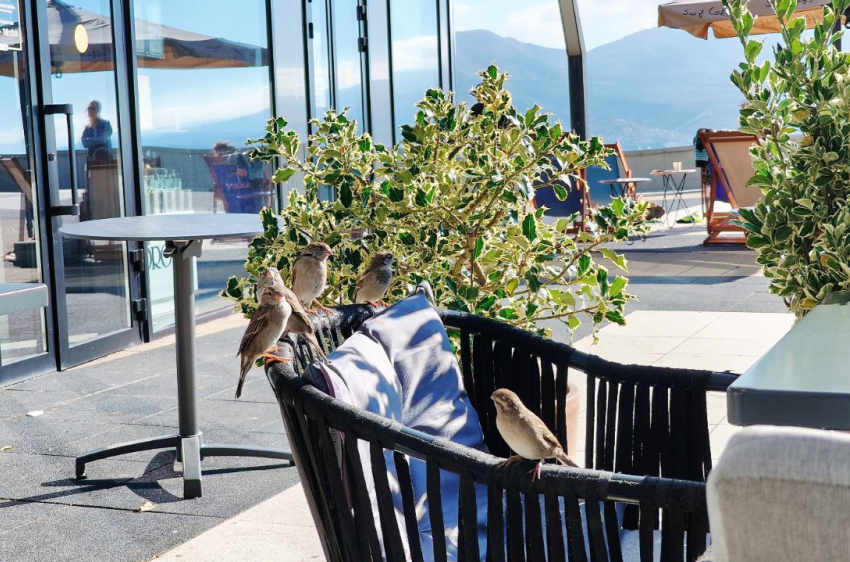 Гороскоп от «Блокнота»: Львам быть великодушными, а Тельцам не торопиться с решениями 