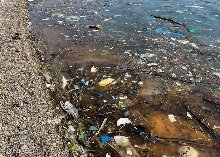 Горы мусора в желтой жиже: пляжи Новороссийска теряют привлекательность