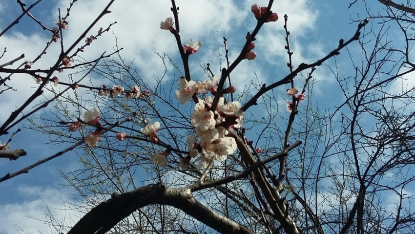 Первый день апреля принесёт в Новороссийск холодный ветер