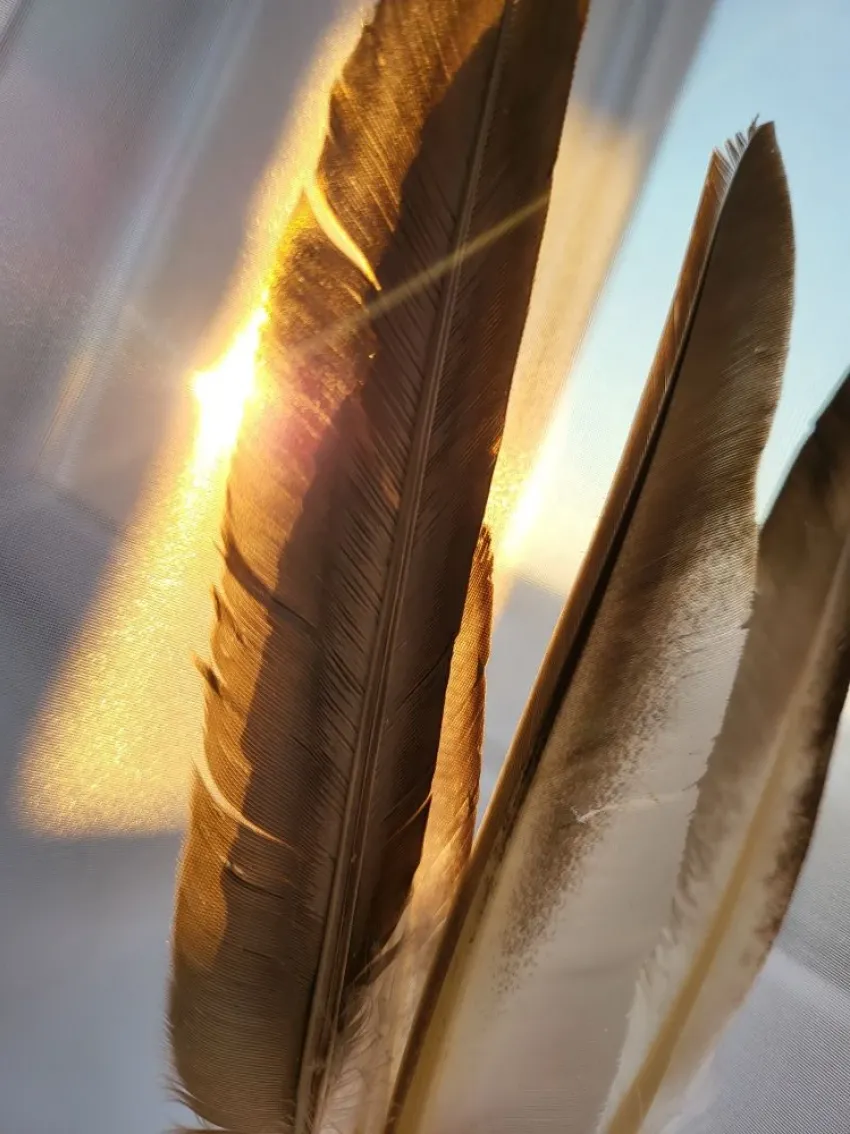 Рыбам не стоит брать в долг, а Раков ждет новая любовь: как сложится этот день у знаков зодиака